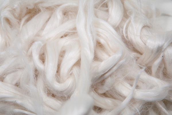 Le Tencel pourrait révolutionner l'industrie textile – Atelier Unes